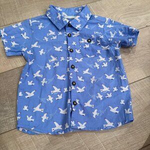 JOJO MAMAN BEBE BOYS SIZE 2-3 YEARS SHORT SLEEVE BUTTON UP SHIRT BLUE